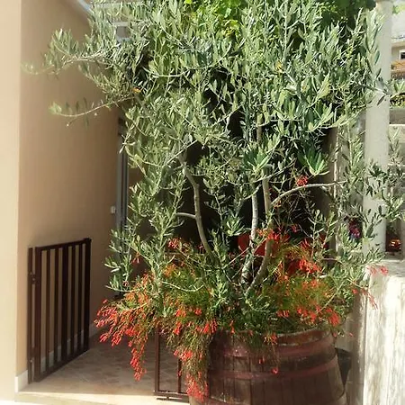 Apartments Karoma Mlini Exterior photo